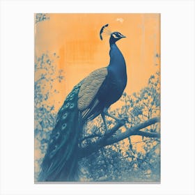 Vintage Orange & Blue Peacock In The Wild 5 Canvas Print