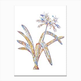 Stained Glass Pancratium Illyricum Mosaic Botanical Illustration on White Canvas Print