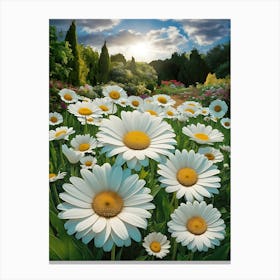 Daisies In The Garden Canvas Print