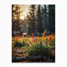 Wildflowers At Sunrise Canvas Print