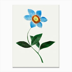 Star Flower Canvas Print