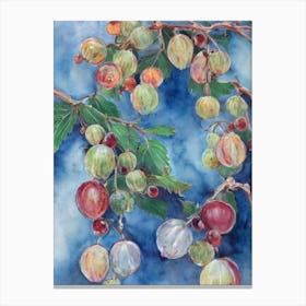Gooseberry Classic Fruit Canvas Print