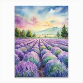 Lavender Field At Sunset Canvas Print