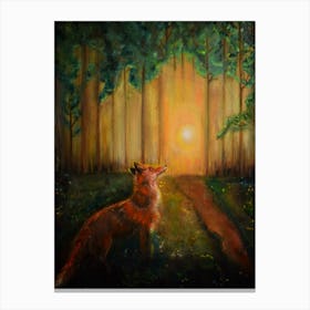 fox at sunset Canvas Print