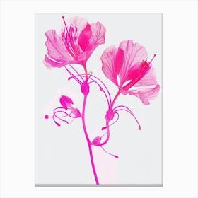 Hot Pink Peacock Flower 1 Canvas Print