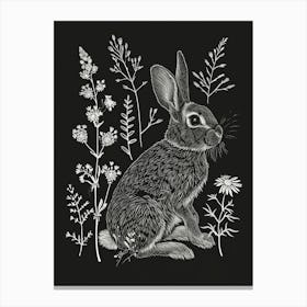Mini Rex Rabbit Minimalist Illustration 3 Canvas Print