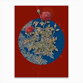 Vintage Botanical Burgundy Cabbage Rose on Circle Blue on Red n.0278 Canvas Print