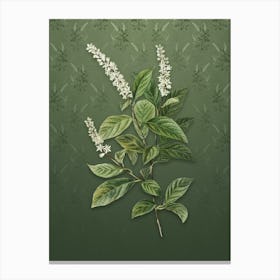 Vintage Virginia Sweetspire Botanical on Lunar Green Pattern n.0534 Canvas Print