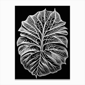 Betel Leaf Linocut Canvas Print