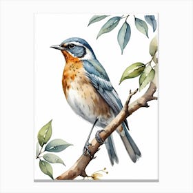 Beautiful Bird On Branch Watercolor Painting (31) Canvas Print