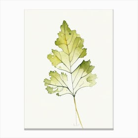 Wild Mustard Leaf Minimalist Watercolour 2 Canvas Print