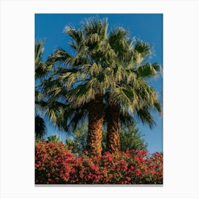 Palm Springs Palms II Canvas Print