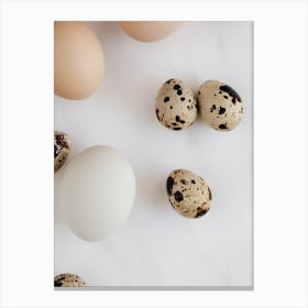 Quail Eggs 4 Canvas Print