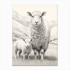 Black & White Illustration Of Highland Sheep With Lamb 2 Canvas Print
