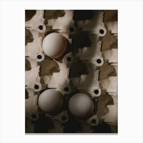 Easter Eggs 557 Canvas Print