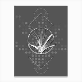 Vintage Boat Lily Botanical with Line Motif and Dot Pattern in Ghost Gray n.0104 Canvas Print
