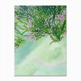 Acropora Loripes Ii Storybook Watercolour Canvas Print