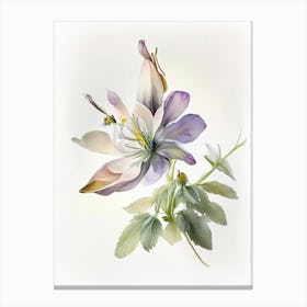 Columbine Wildflower Watercolour Canvas Print