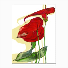 Blooming Anthurium Canvas Print