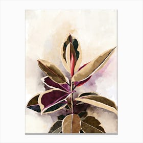 Watercolor Ficus Botanical Leaves 1 Canvas Print