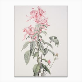 Vintage Flower Drawing Canvas Print