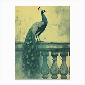 Vintage Peacock On A Banister Cyanotype Inspired 3 Canvas Print