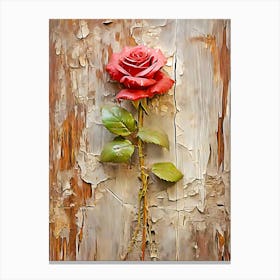 Rose On The Wall 1 Canvas Print