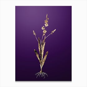 Gold Botanical Ixia Scillaris on Royal Purple n.0781 Canvas Print