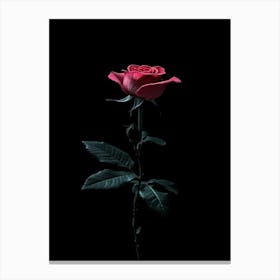 Black Rose 2 Canvas Print