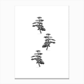 Japanese Pine Tree Collage Canvas Print