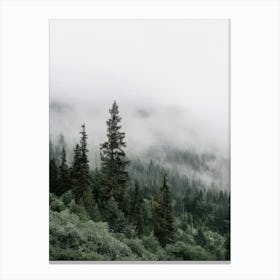 The Slumbering Forest Canvas Print