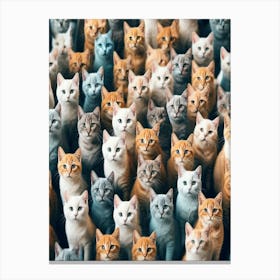 Bunch Of Cats Canvas Print