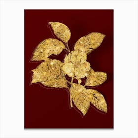Vintage Stewartia Tree Botanical in Gold on Red Canvas Print