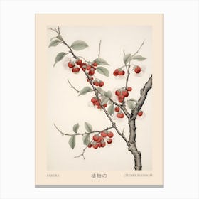 Sakura Cherry Blossom 3 Vintage Japanese Botanical Poster Canvas Print