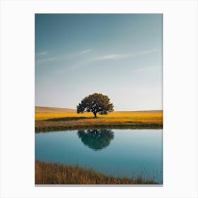 Lone Tree In A Field 2 Canvas Print