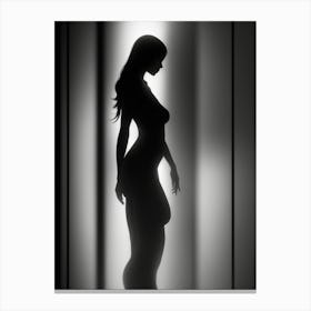 Silhouette Of A Woman In A Hallway Lienzos