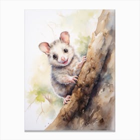 Light Watercolor Painting Of A Climbing Possum 4 Canvas Print