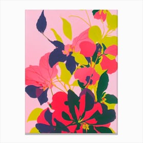Begonia Colourful Illustration Plant Canvas Print