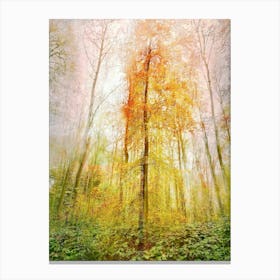 Autumn Thicket Canvas Print