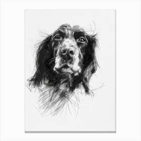 English Springer Spaniel Dog Charcoal Line 1 Canvas Print