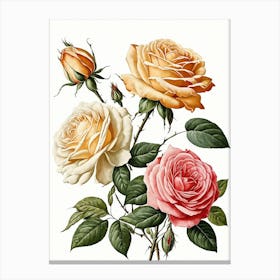 Vintage Galleria Style Rose Art Painting 25 Canvas Print