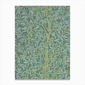 Kentucky Coffeetree tree Vintage Botanical Canvas Print