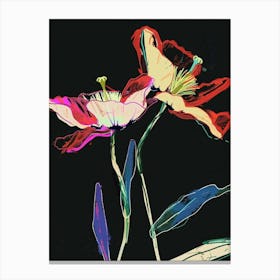 Neon Flowers On Black Poppy 1 Canvas Print
