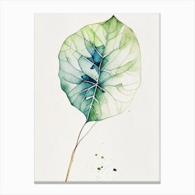 Morning Glory Leaf Minimalist Watercolour Canvas Print