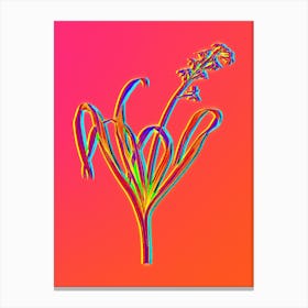 Neon Dutch Hyacinth Botanical in Hot Pink and Electric Blue n.0528 Canvas Print