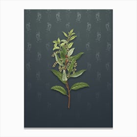 Vintage Evergreen Oak Botanical on Slate Gray Pattern Canvas Print