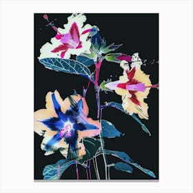 Neon Flowers On Black Hollyhock 3 Canvas Print