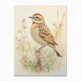 Vintage Bird Drawing Lark 3 Canvas Print