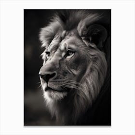Portrait Of A Lion 1 Canvas Print