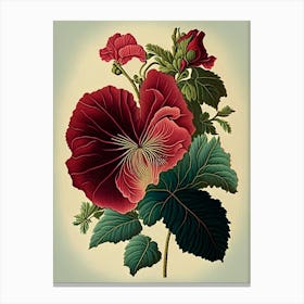 Hibiscus 1 Floral Botanical Vintage Poster Flower Canvas Print